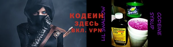 гидра Покачи