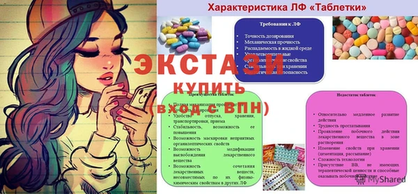 ECSTASY Алзамай